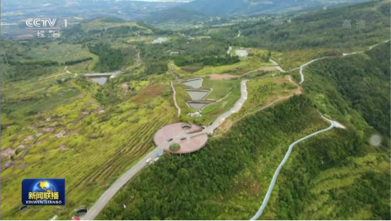 迎橄榄丰收 助墟落振兴 四川pp电子聚峰谷油橄榄工业发动金堂公园都会绿色低碳生长