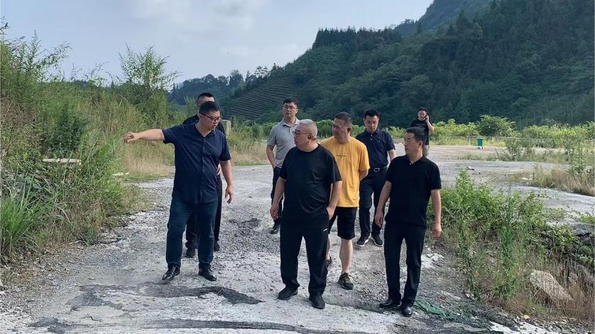 省pp电子集团向导调研峨眉山太阳村墟落振兴项目
