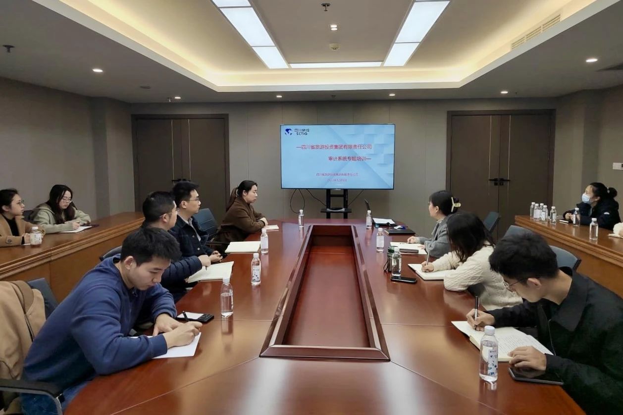 省pp电子集团举行2023年度审计系统专题培训